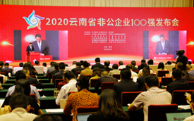 华致酒行入选“2020云南省非公企业100强”及“2020云南省非公企业服务业20强”榜单